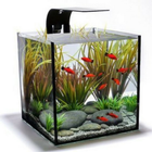 aquarium design ideas icône