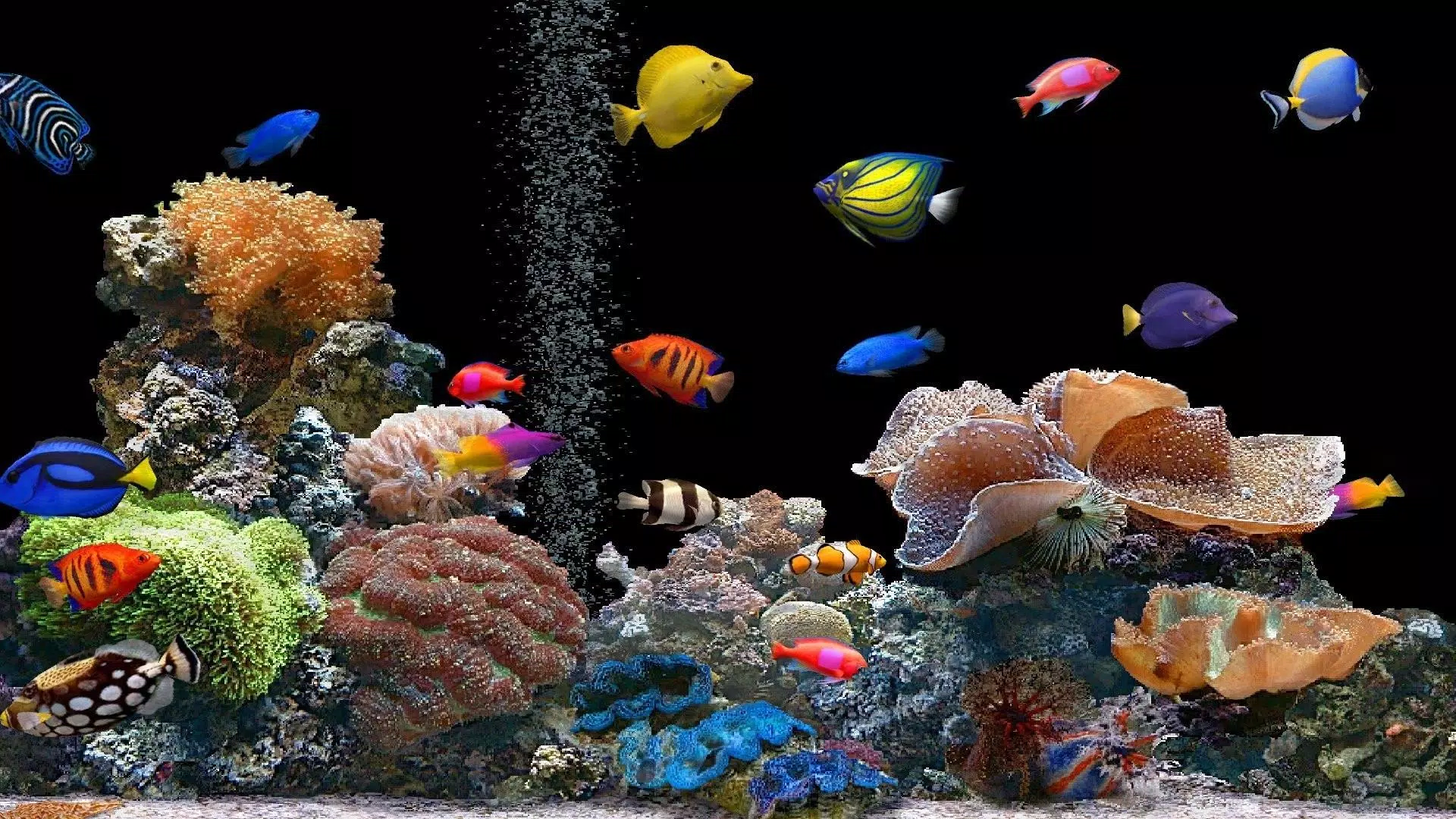 Tải xuống APK Aquarium Wallpaper 2018 Pictures HD Images Free cho Android Tải xuống APK Aquarium Wallpaper 2018 Pictures HD Images Free cho Android