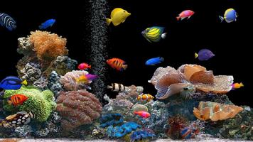 Aquarium Wallpaper 2018 Pictures HD Images Free ภาพหน้าจอ 3