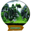 aquascape