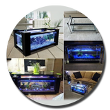 Design aquascape biểu tượng