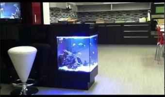 Design aquascape ภาพหน้าจอ 3