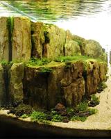 Aquascape Design Screenshot 1