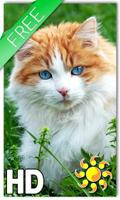 Cat Nature LWP पोस्टर