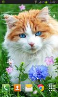 Cat Nature LWP 스크린샷 1