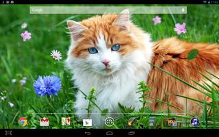 Cat Nature LWP 스크린샷 2