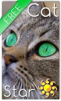 Cat Live Wallpaper Affiche