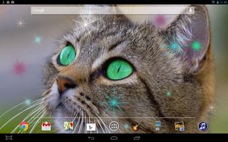 برنامه‌نما Cat Live Wallpaper عکس از صفحه