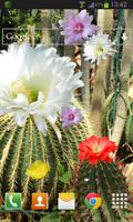 Cactus Flowers LWP capture d'écran 1