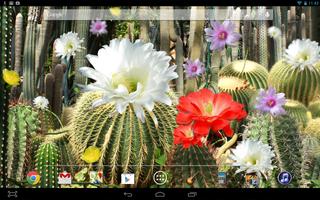 Cactus Flowers LWP capture d'écran 2