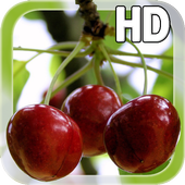 Berry Cherry LWP Free icon