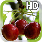 Berry Cherry LWP Free icono