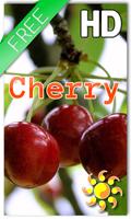 Berry Cherry LWP Free ポスター