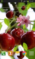 Berry Cherry LWP Free captura de pantalla 1