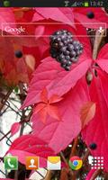 Autumn Grapes LWP capture d'écran 1