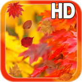 Autumn Leaves HD Free icon