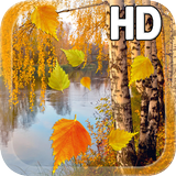 Autumn Live Wallpaper HD أيقونة