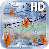 Autumn Raindrops Live HD icône