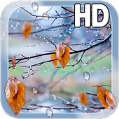 Autumn Raindrops Live HD icon