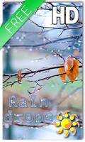 Autumn Raindrops Live HD Poster