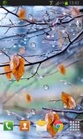 Autumn Raindrops Live HD स्क्रीनशॉट 1