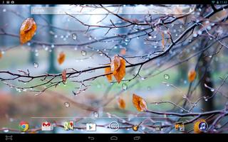 Autumn Raindrops Live HD captura de pantalla 2