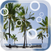 Beach Palms Live Wallpaper icon