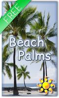 Beach Palms Live Wallpaper Affiche