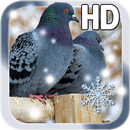 Birds Winter LWP APK