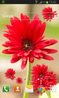 Gerbera Flower LWP capture d'écran 1