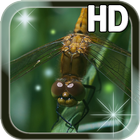 Dragonfly Live Wallpaper أيقونة