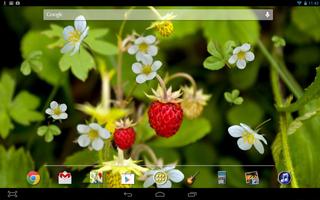 Forest Berry LWP syot layar 2