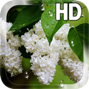 Flower Lilac Drops LWP APK