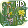 Flower Picture LWP