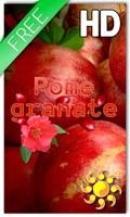 Fruit Pomegranate LWP Affiche