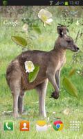 Kangaroo Australia LWP syot layar 1