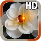 Heart Rose Live HD icône