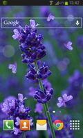 Lavender Flowers LWP syot layar 1