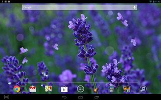Lavender Flowers LWP スクリーンショット 2