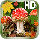 Autumn Leaves Mushroom LWP APK