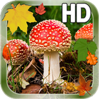 Живые обои листья грибы иконка