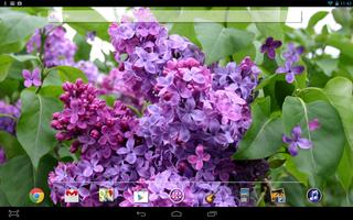 Lilac Flower LWP captura de pantalla 1