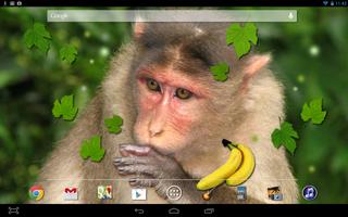 Живые Обои Обезьяна скриншот 2