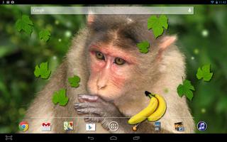 Monkey Live Wallpaper ảnh chụp màn hình 2