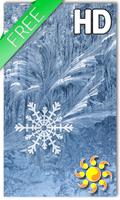 Snowflakes LWP Affiche