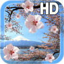 APK Sakura Live Wallpaper