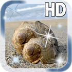 Sea shell Live Wallpaper ikon