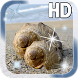 Sea shell Live Wallpaper-icoon