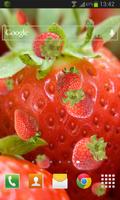 Strawberry Live Wallpaper تصوير الشاشة 1