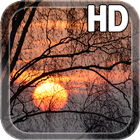 Sunset Live Wallpaper 图标